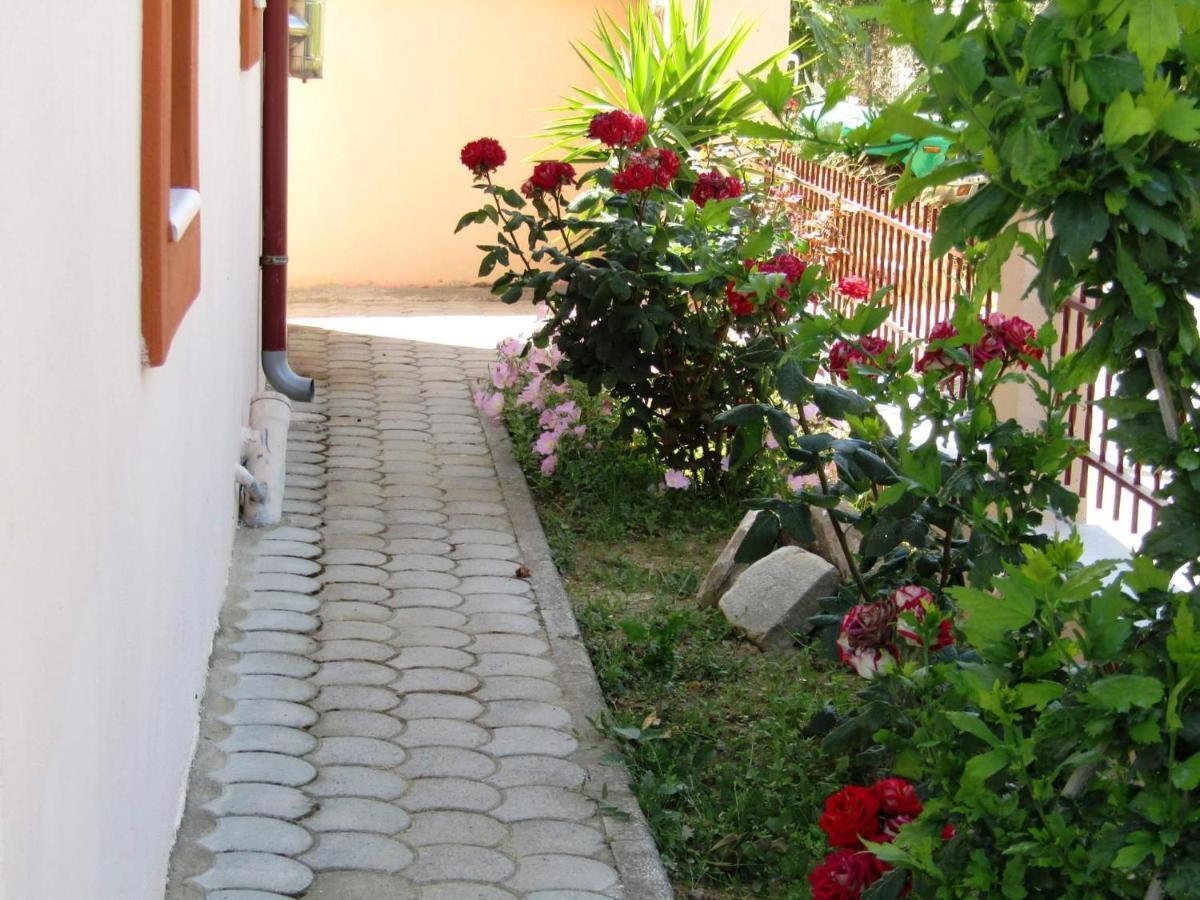 Apartament Olive Grove House Limenaria  Zewnętrze zdjęcie