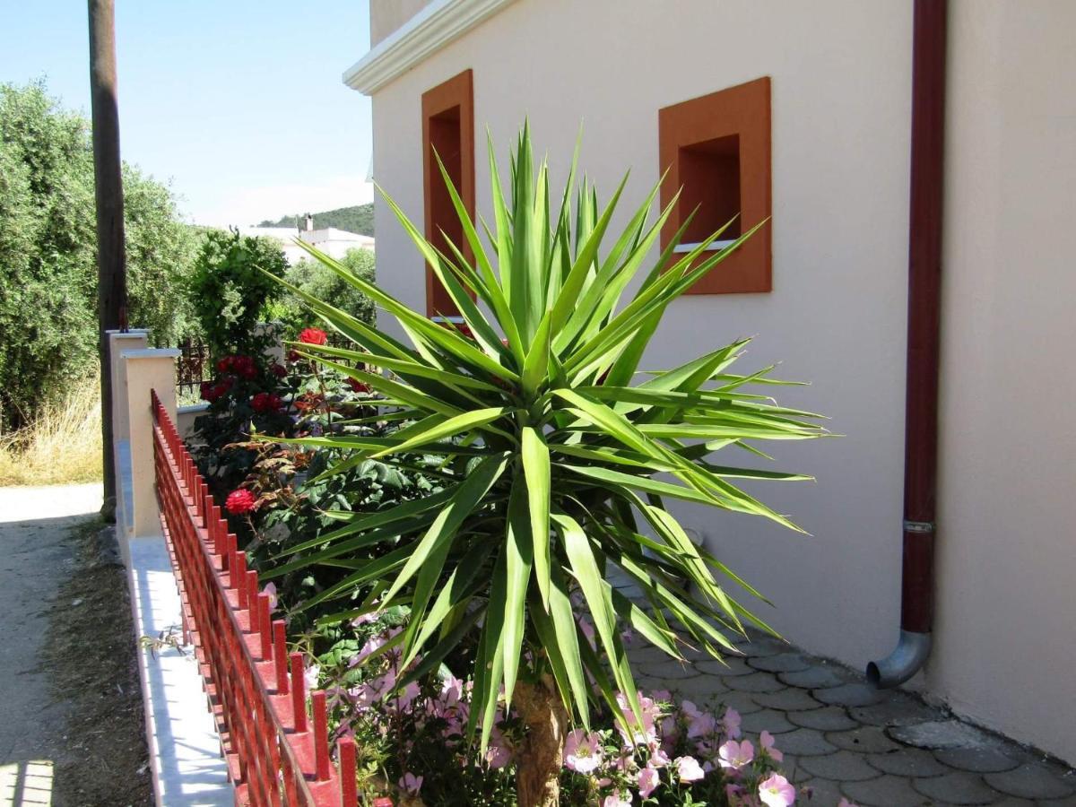 Apartament Olive Grove House Limenaria  Zewnętrze zdjęcie