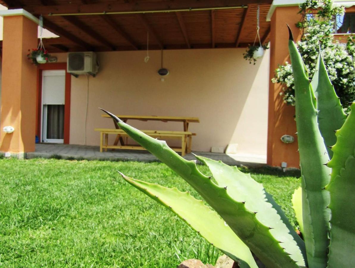 Apartament Olive Grove House Limenaria  Zewnętrze zdjęcie